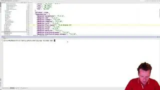 The Advanced Photo Sharing App | S1p31 | Install Angularfire and intro to package json file