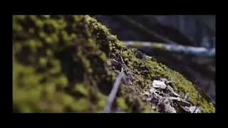 Digital Alchemy. 1st Episode