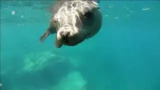 REEL GREEN TOURS