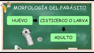 Ateneos Febrero 2020 - Neurocisticercosis.