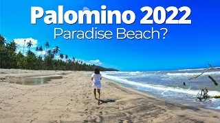 TEIL 2: Beach Life & Food in Palomino Kolumbien - Wo baden, wo essen?!