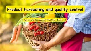 Agricultural Management Practices grade12 Product harvesting and quality control