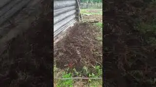 3 июля 2024 г.