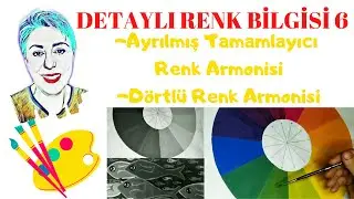 DETAYLI RENK BİLGİSİ 6, Renk Uyumu,Armoni ,Ayrılmış Tamamlayıcı Renk Armonisi, Dörtlü Renk Armonisi