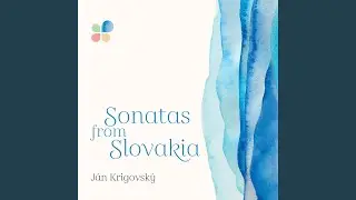 Son&aacute;ta pre kontrabas a klav&iacute;r: II. B&uacute;rka a Blesky Nad Sencom