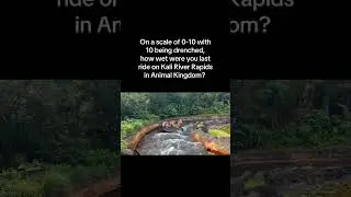 Kali River Rapids - How soaked do you get? #animalkingdom #familyfun #kaliriver #disneyworld