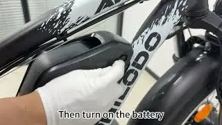 How to Start Philodo H8 60V Dual Motor Electric Bike
