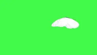 White butterfly flying - Green screen (no copyright, Royalty free)