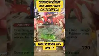 Unveiling the Sprigatito Pok&eacute;mon Paldea Collection: A Collector's Dream with Exclusive Cards