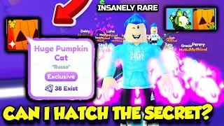 I Spent BILLIONS Trying To Hatch The Secret HUGE PUMPKIN CAT In Pet Simulator X!! (Roblox)