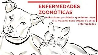 ENFERMEDADES ZOONÓTICAS ▶▶ Indicaciones y cuidado  -    HogarTv por Juan Gonzalo Angel