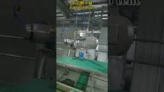 Cattle belt splitting saw  Cattle slaughtering equipment  #meat #food #beef #pig #cow