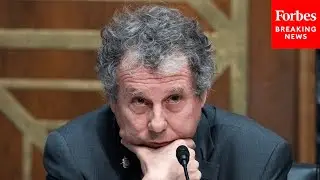 Sherrod Brown Blasts 'Predatory Loans And Practices' In Mortgage Markets