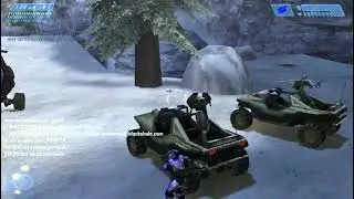 Halo CE Multiplayer | Race_Taxi | 2025-11-28 19:34
