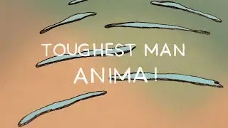 ANIMA! - Toughest Man [OFFICIAL VIDEO]
