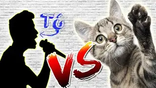 T&uacute; Vs➜ Tu Gato/Batallas De Rap T&uacute; Vs #12 (Practica de Freestyle)