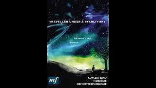 TRAVELLER UNDER A STARLIT SKY - Mathias Wehr