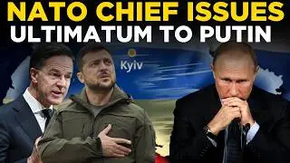 RUSSIA NATO CRISIS LIVE: Rutte Warns Russia, Any Attack Triggers Devastating NATO Response