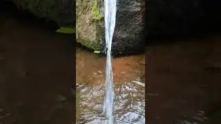 Pure Water Stream ASMR | Sleep Trigger & Calm Focus#asmr #sleep #relax