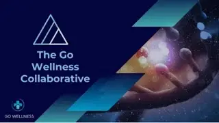 Основные моменты сотрудничества Go Wellness в ноябре