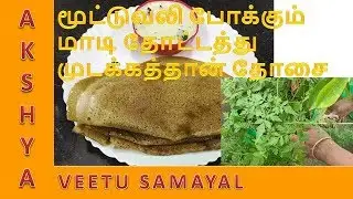 Mudakathan keerai dosai recipe in tamil | Balloon vine leaves dosai | Mudankatan | முடக்கத்தான் தோசை