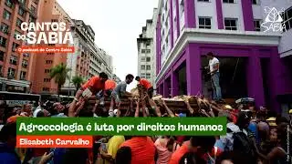 Agroecologia é luta por direitos humanos | Cantos do Sabiá