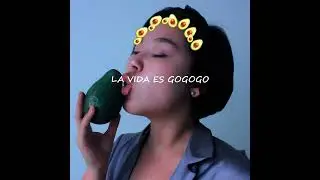 La Vida Es Gogogo