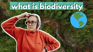 WHAT IS BIODIVERSITY (threats to biodiversity/how to protect biodiversity) Biodiversity series pt 1