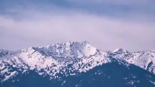 Voices of the Forest &mdash; Tribute to the Blue Mountains