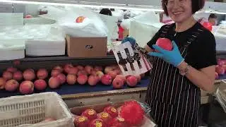 Apple🍎Company in Shandong China! Exclusive tour of Storage for years and shipping to all our world..