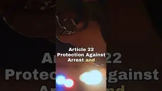Article 22 | Protection Against Arrest and Detention
