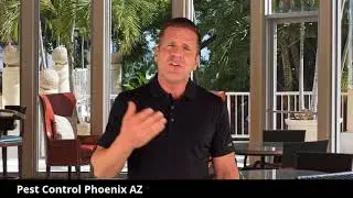 Pest Control Phoenix  Area | Pest Control Extermintor in Phoenix  Area Call Now +1 602 362 4616