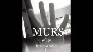 ATA - 4 Murs ( Tcheck Ca Family )