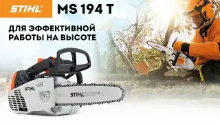 Одна из лучших бензопил для арбористов || STIHL MS 194 T  || Купи на Дачу