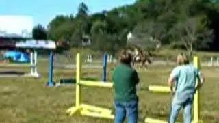 Margarita Test Ride