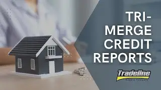 What Is a Residential Mortgage (or Tri-Merge) Credit Report?