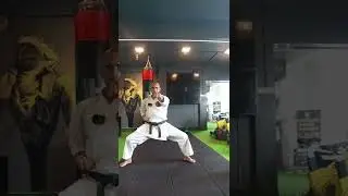 Karate Punch Training