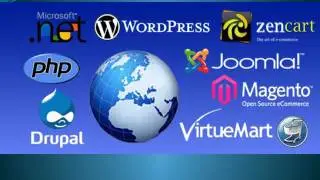 Best Website Development Companies Delhi.