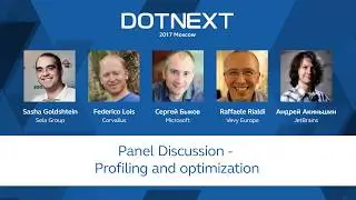 Panel Discussion &ndash; Profiling and optimization