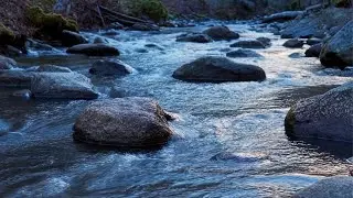 🌊 Smooth River Water's Flow, Continuous White Noise, Calm Nature Sounds