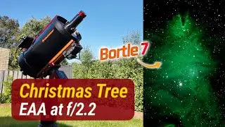 Real-time EAA with HyperStar at f/2.2 | NGC 2264 (Christmas Tree Nebula)