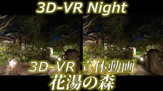 3D-VR HANAYU NO MORI at Night (花湯の森の夜)