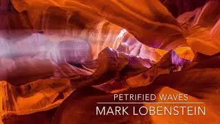 Petrified Waves by Mark Lobenstein