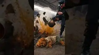police man angry on poor puppy tea stall  #usashorts #aivideo #ai #usa