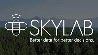 SKYLAB digital forest inventory and disease mapping