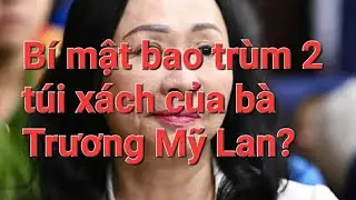 B&iacute; mật bao tr&ugrave;m hai t&uacute;i x&aacute;ch của b&agrave; Trương Mỹ Lan?