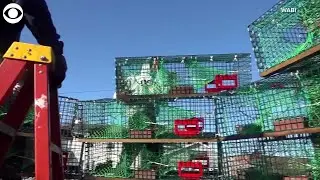 WEB EXTRA: Lobster Trap Christmas Tree