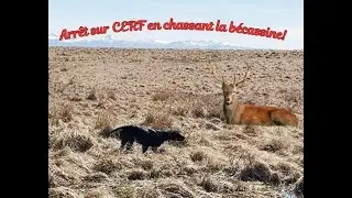 Arr&ecirc;t sur CERF