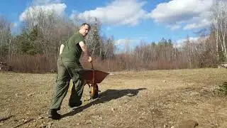 Building a beaver dam! pt.1: Apr 24/21