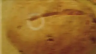 Az Agrárinfó vendége Dinnyés Ferenc